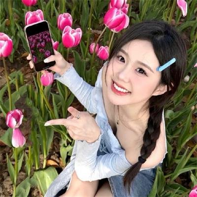 十二公民 海报